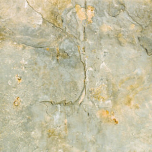 Ego Dark Beige Pod 50x50 - Image 1