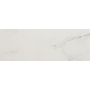Calacatta Venezia 25x70