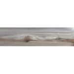 Echo Ash Natural 24.75x99.55