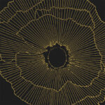 Art-deco black spritz 30x30