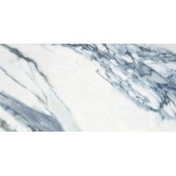 Annie Blue Pulido Rect 60x120 1