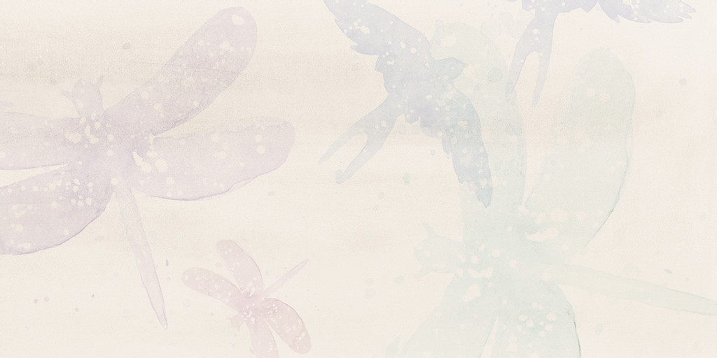 POEM Light Grey decor WADV4578 30x60 1