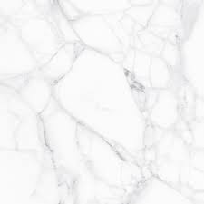 Majestic White Natural 60x60 1