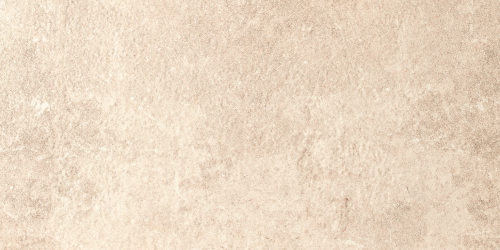 Stone Abu Arena In&Out 29.5x60 1