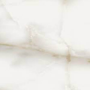 Hydra 25×25